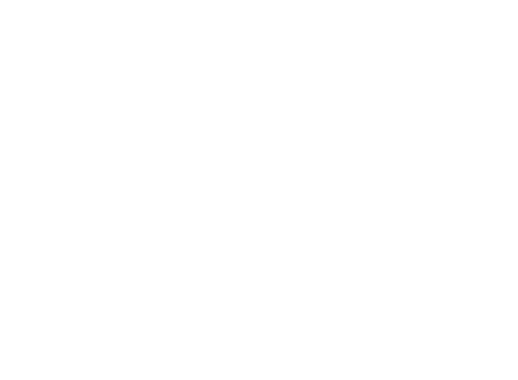 CHS标志
