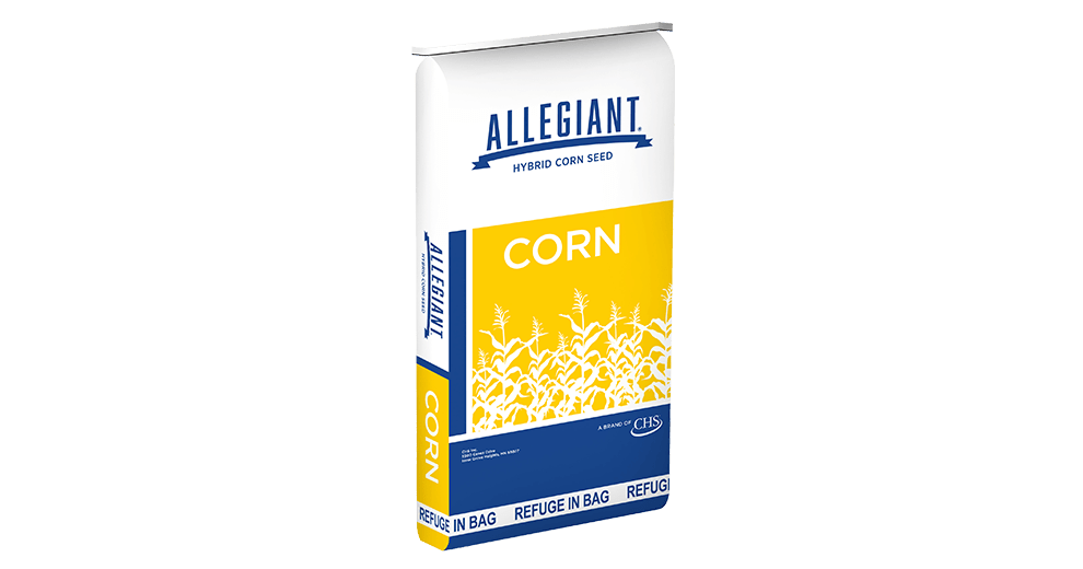 Allegiant corn bag