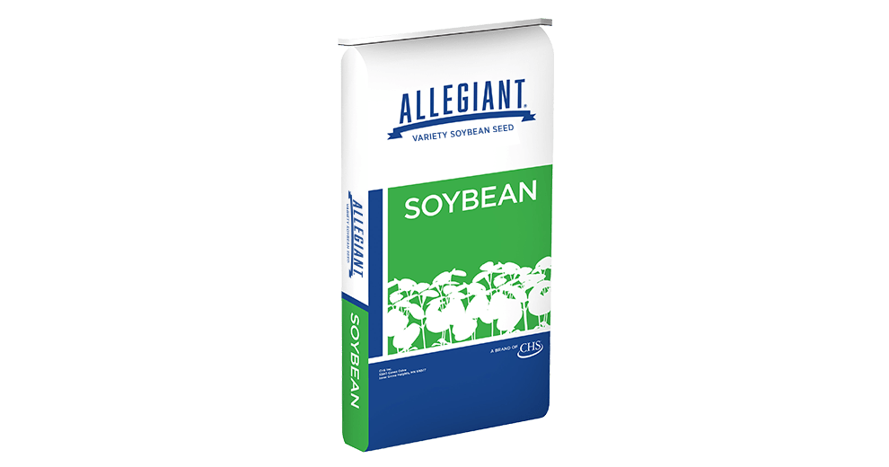 Allegiant soybean bag