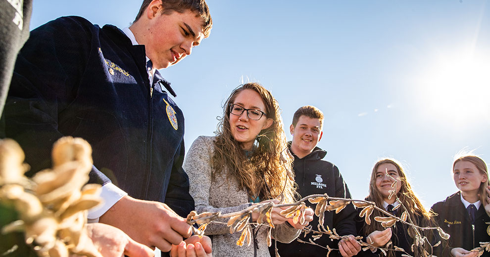 FFA students with teacher examining soybeans