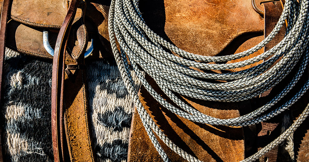 up close image of horse rope and saddle