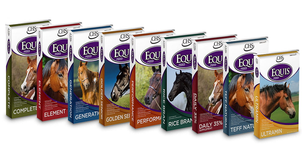 9 Equis feed bags 