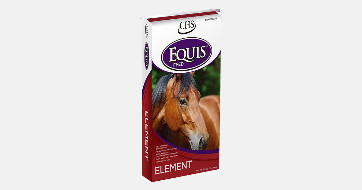 Equis Element horse feed bag