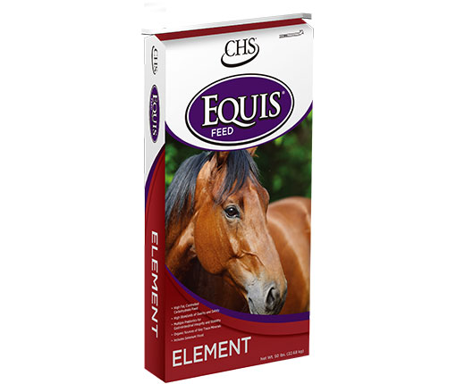 Equis Element horse feed bag
