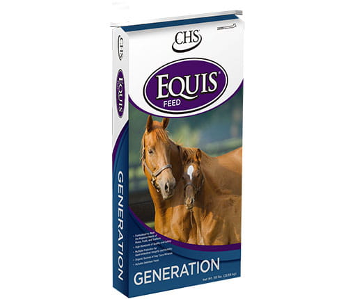 Equis Generation horse feed bag