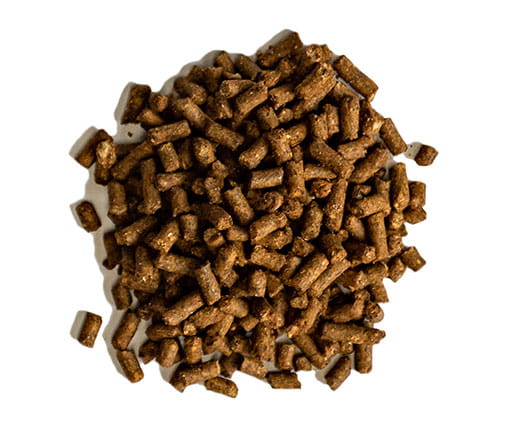 Pile of Equis Generation horse feed pellets