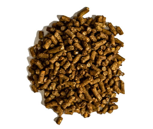 Pile of Equis Golden Senior horse feed pellets