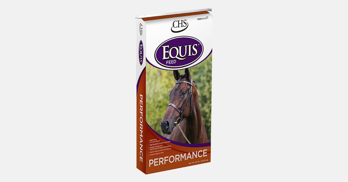 Equis Performance horse feed bag