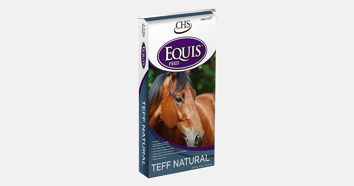 Equis Teff Natural horse feed bag