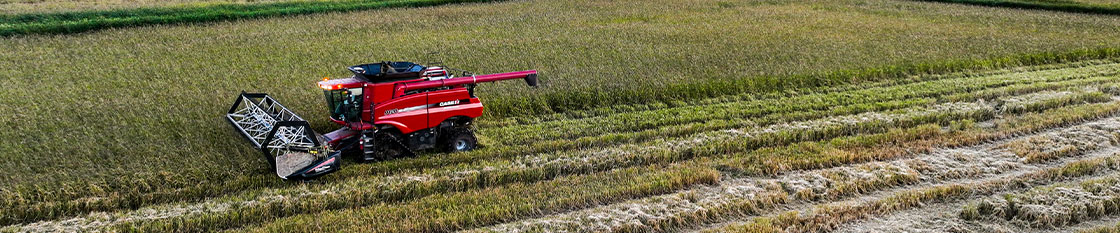 Red combine moving through field during harvest