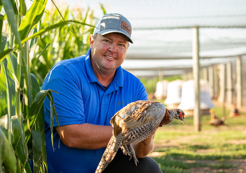 Man holding pheasant at farm