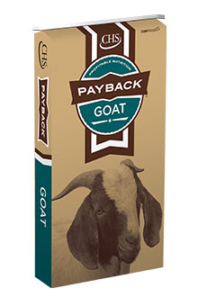 Payback goat product bag