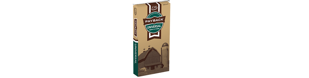 payback-universal-bag-small