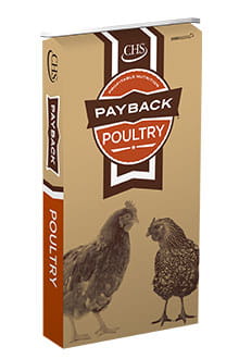 Payback Poultry bag