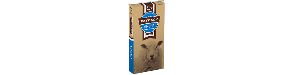 payback-sheep-bag-small