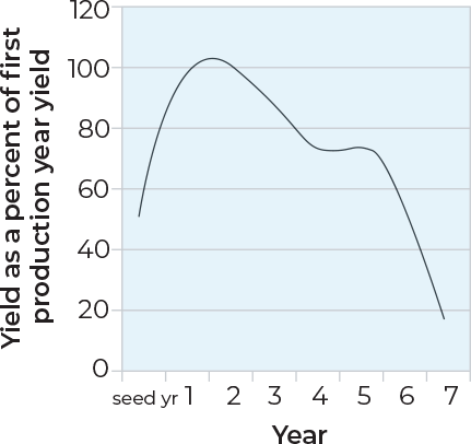Chart 2: Alfalfa stand age and yield (fall dormancy 4). As the seed year increases the yield as a percentage of first production year yield decreases