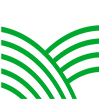 Green land icon