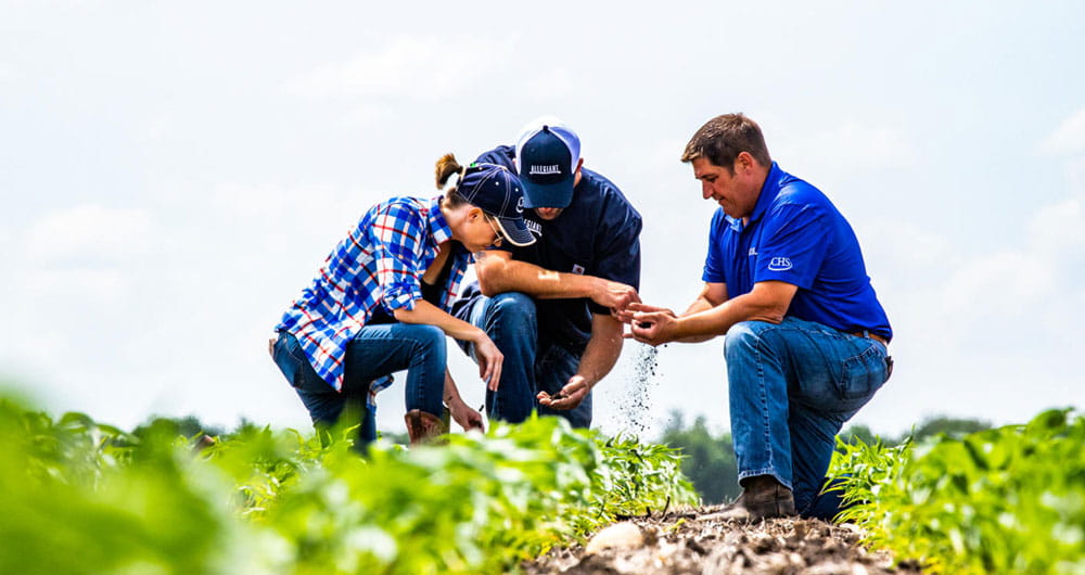 A woman and two men crouching down to inspect a field's soil