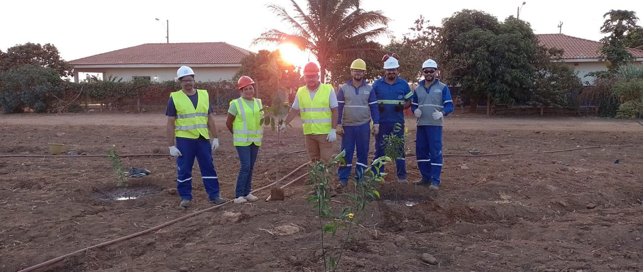 CHS Brazil team standing beside a freshly planted tree
