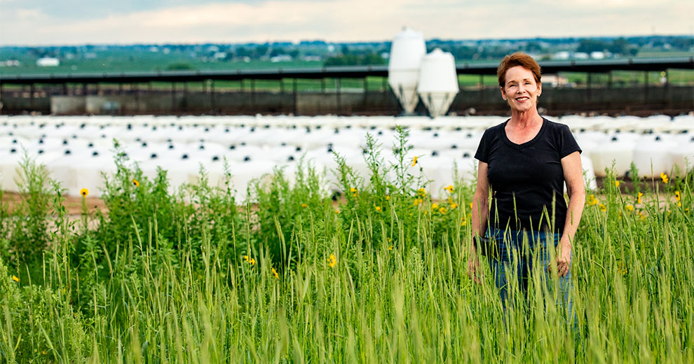 Woman standing in tall grass