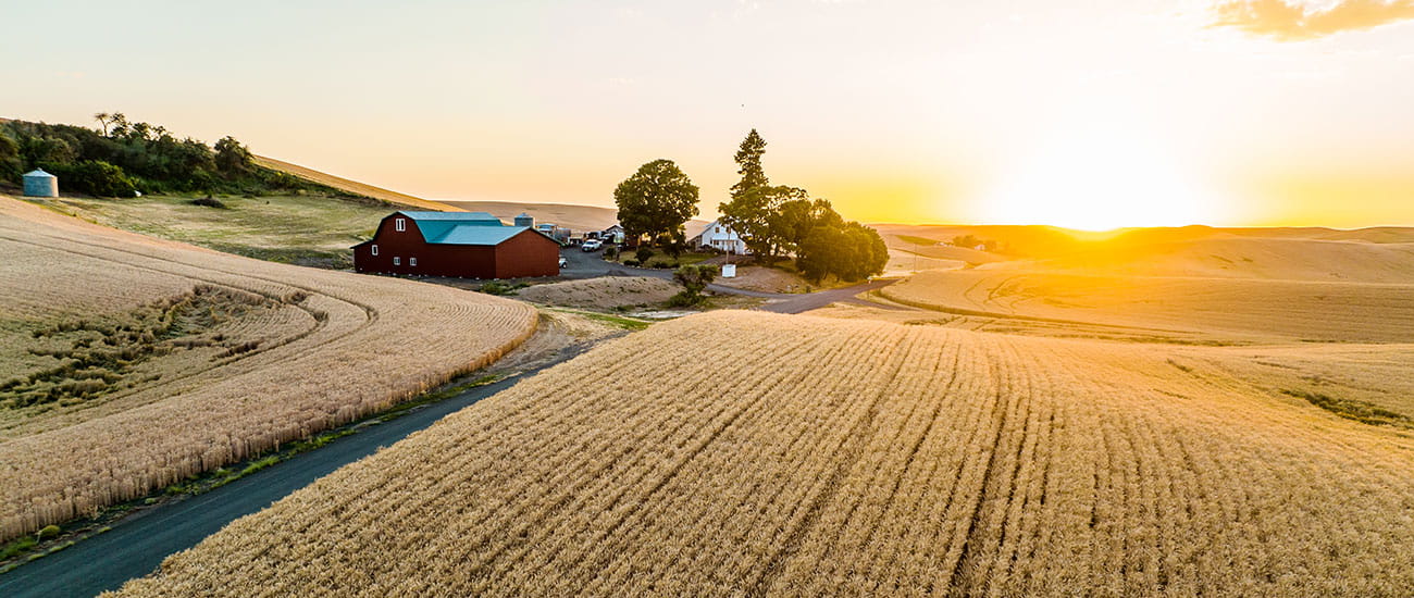 Aerial of farm during sunset