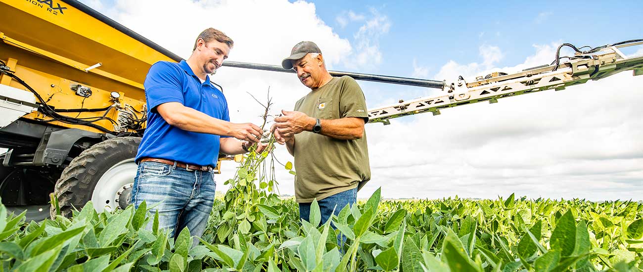 two men in cornfield with sprayer