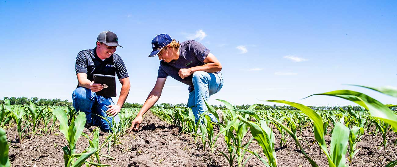 two men in corn field