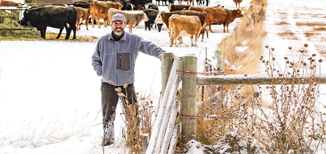 Man standing beside fence with cattle in the far background