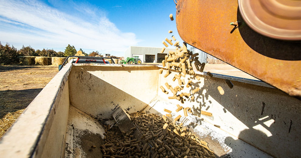 Payback feed pellets being dispensed into a trough