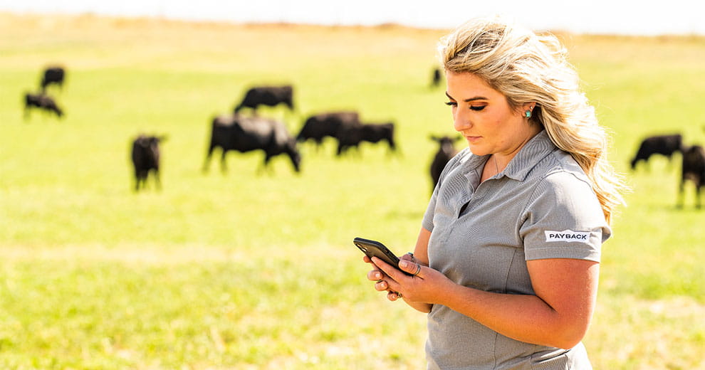 Nutrition consultant looking at phone with cows grazing in the background