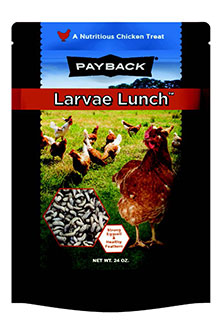 Payback Larvae Lunch treat bag