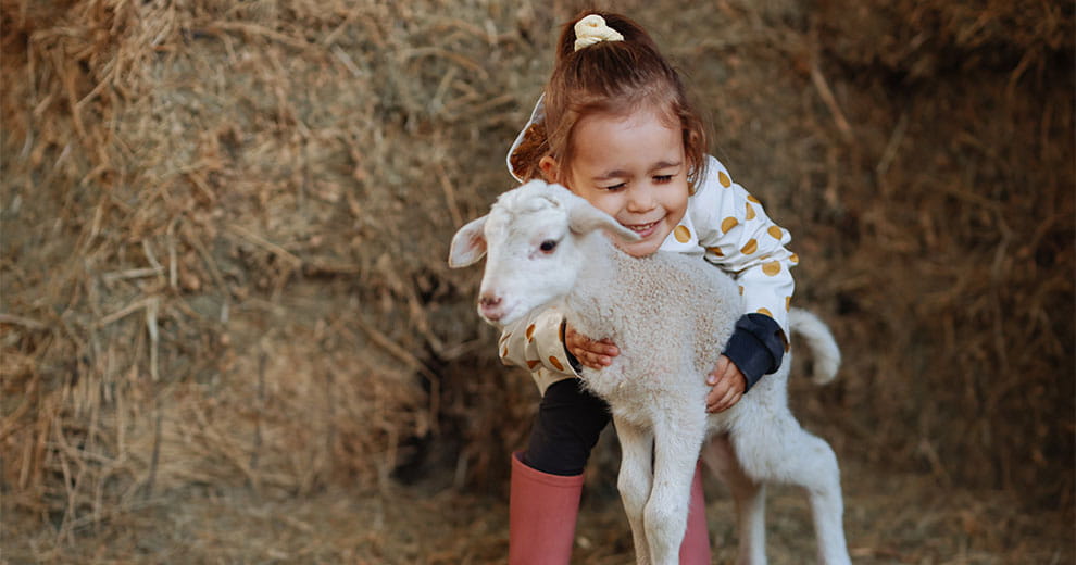 Little girl hugging a lamb