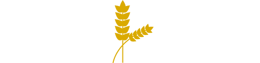 Yellow barley icon
