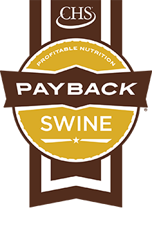 Payback Swine badge