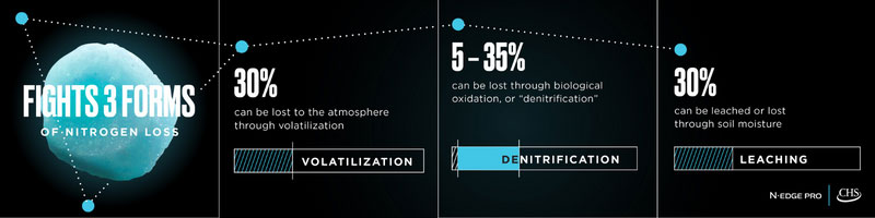 fight three forms nitrogen loss