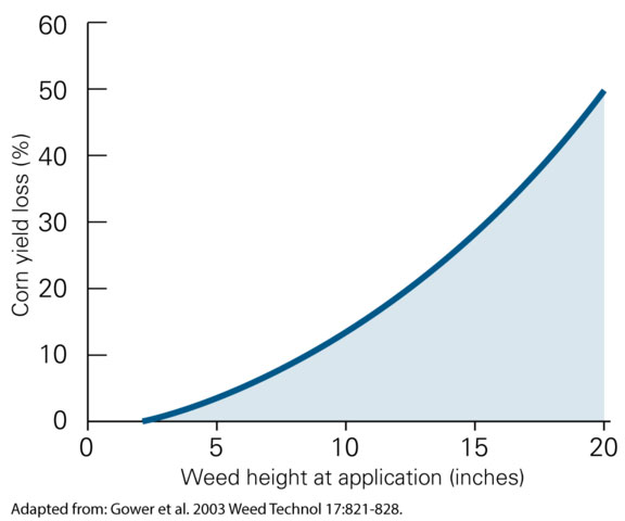 HELM graph