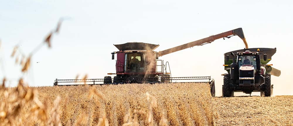 image of a combine soybeans in a field in autumn
