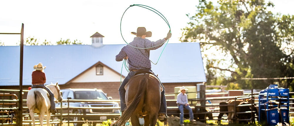 Man on horse with cowboy hat holds lasso overhead.