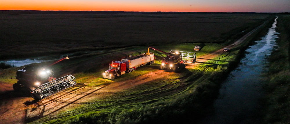 Two combines harvest wild rice at night in Northern Minnesota