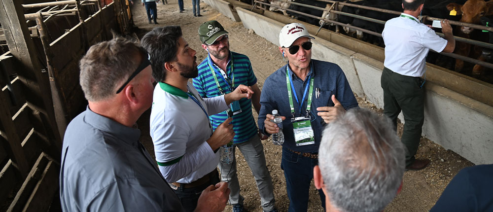 A group of men talking in a cattle barn