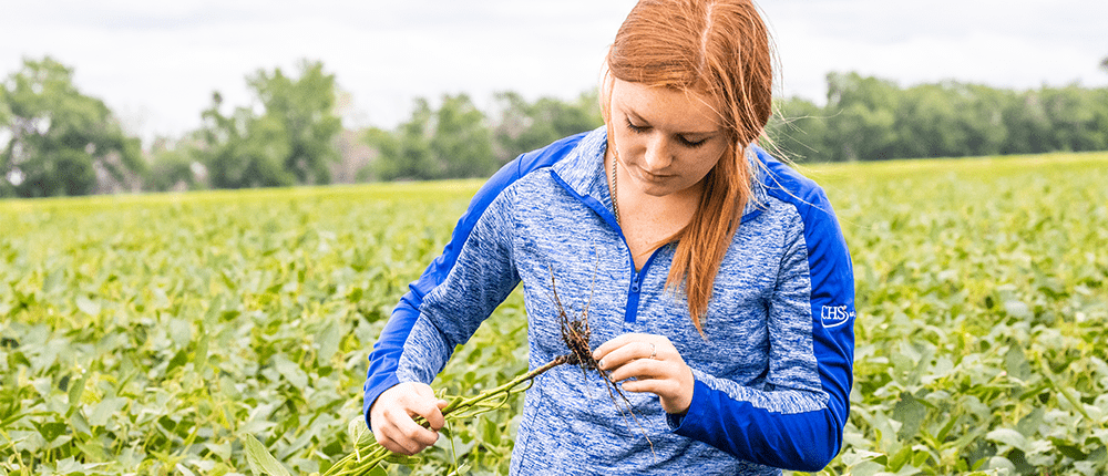 Young woman examining roots on a plant in a farm field