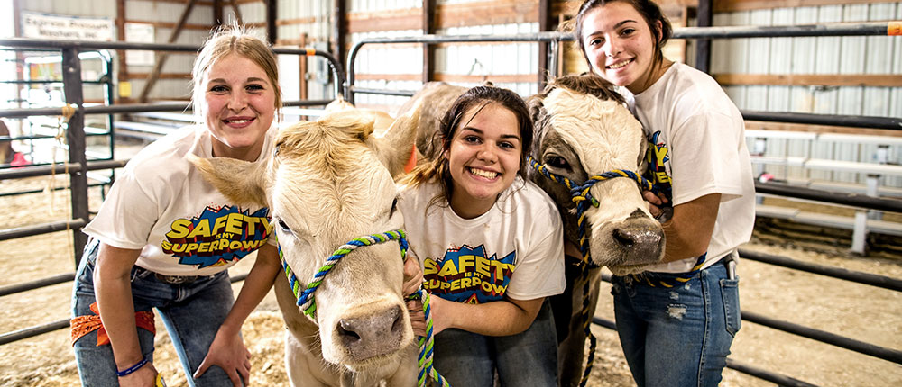 Three students wearing T shirts that say Safety is my Superpower pose with cows.