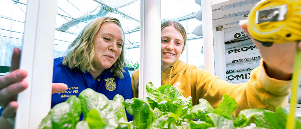A teacher wearing an FFA shirt talks to a student holding a tape measure about a row of lettuce in a greenhouse