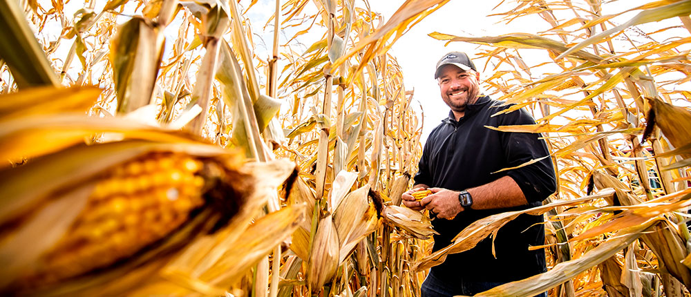 Man in a field of corn