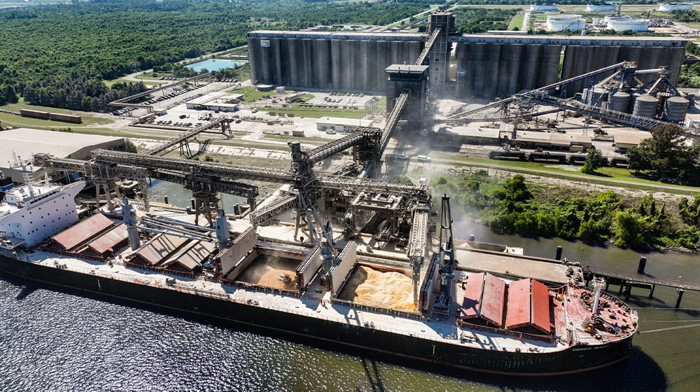 Ship being loaded with soybean meal