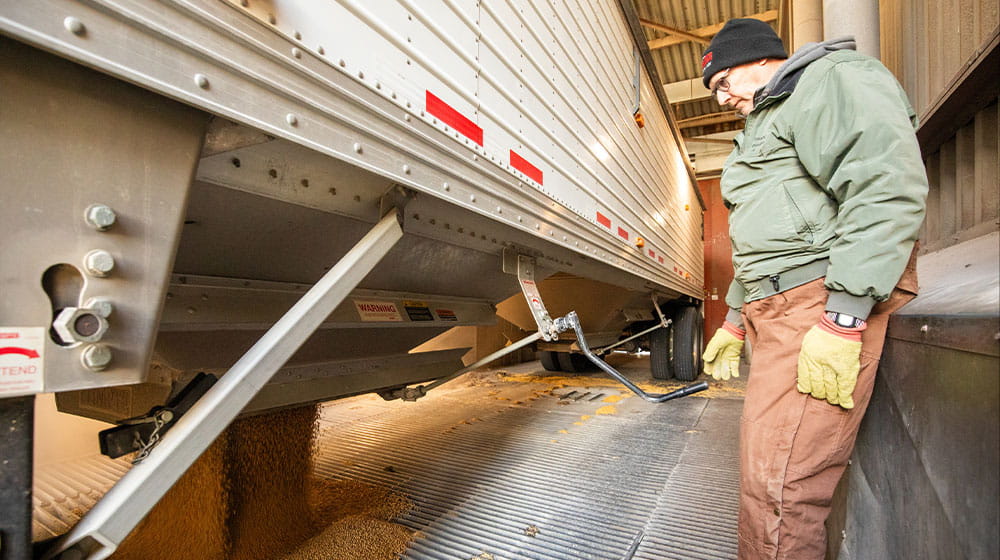 Man unloading soybeans from a semi-trailer